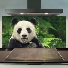 Kitchen Splashback Tempered Glass Heat Resistant 100x50 Chinese Giant Panda