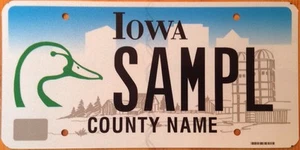 DUCKS UNLIMITED license plate conservation waterfowl wetlands wild duck D/U - Picture 1 of 4