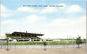 Vintage CO Postcard Mile High Kennel Club Track Greyhound Dog Racing Denver - Picture 1 of 3