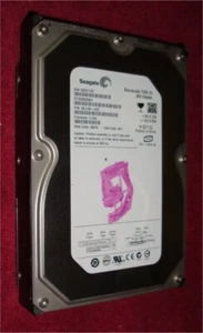 PC interna Seagate Barracuda (SATA) 3,5" HD 320 GB 7200 rpm 8 MB ST3200820AS - Imagen 1 de 1