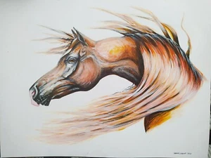 Arabian Horse Portrait - Acrylic Painting- special order - Picture 1 of 3