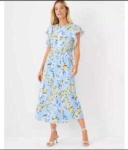 Maxi Vestido Ann Taylor Petite Limón Manga Volantes Nuevo con Etiquetas Para Mujer Talla L - Imagen 1 de 18