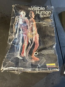 Vintage 1991 Lindberg The Visable Human Body Kit No. 1302 - Bild 1 von 10