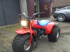 honda atc 125 ccm - Bild 1 von 11