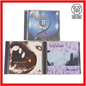 Wolfstone CD Bundle 3x Album Lot Collection Pick Of The Litter The Chase Island - Picture 1 of 8