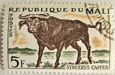 Malí 1965 Cape Buffalo, Sc#68, CTO-COMO NUEVO-OG, sello único de 5 francos, MNH ENVÍO RÁPIDO  Foto 1 de 3