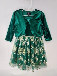 Lilt Girls 2 Piece Green & Gold Roses Special Occasion Velour Dress Size 4 - Picture 1 of 4