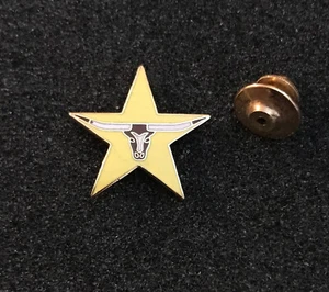 Texas Longhorn Yellow Star Clutch Back Hat Lapel Pin Tie Tack - Picture 1 of 3