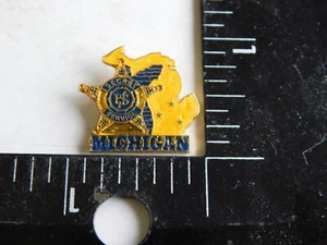 UNITED STATES SECRET SERVICE MICHIGAN DIVISION PIN - Picture 1 of 2