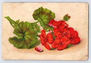 Woolson Spice Co, Lion Coffee, Toledo Ohio Flowers Victorian Trade Card P1 - Bild 1 von 2