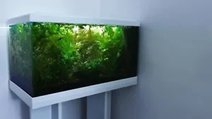 **BRAND NEW** White Fish Tank Aquarium with Stand, Heater, Filter, Led & More - Picture 1 of 10