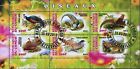 Feuille souvenir fleur de paon oiseaux du Congo de 6 timbres