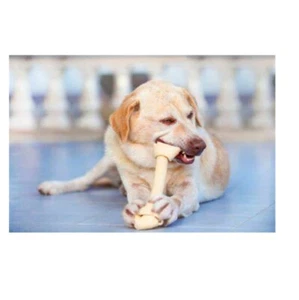 Huesos de perro clásicos de cuero crudo de 13" a 14" totalmente naturales sin conservantes razas más grandes - Imagen 1 de 63