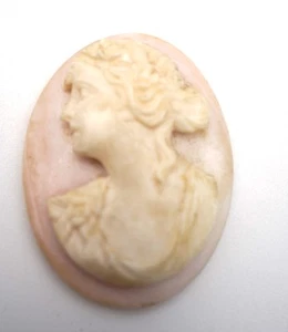 Antique Shell Cameo No Frame. 1.5 inches Tall X 1 1/8 Inches Wide - Picture 1 of 13