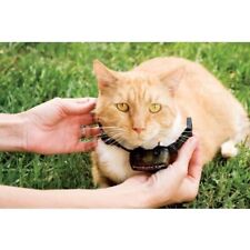 PetSafe - Collier pour chat, 4 niveaux de stimulation, léger, réglable et ant...