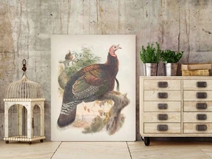 Wild Turkey Thanksgiving Turkey Male and Female Poster Print Fall Table Decor - Picture 1 of 4