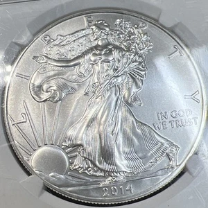 2014 Eagle 1$ Early Release 70 Graded By NGC Broken Case Lot S81LP4 - Picture 1 of 7