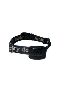 Receptor DogWatch R9 con collar - Imagen 1 de 4