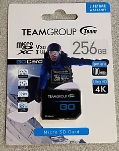 TeamGroup 256GB Go Card micro SDXC UHS-I Card New TGUSDX256GU303 765441051638