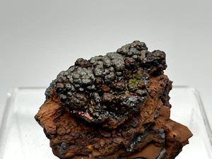 GOETHITA Goethite - Tharsis Huelva Andalucía SPAIN MINERAL COLECCION 5x3x3 K20 - Imagen 1 de 4