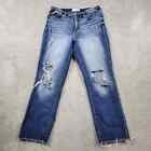 BKE Parker Jeans Womens 30 Blue Distressed High Rise Straight Baggy Y2K 2000s