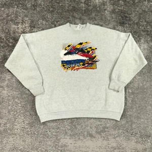 Vintage Snowmobile Sweatshirt Mens XL Grey Crew Neck Fleece Dennis Kirk 90s Y2K - Picture 1 of 15