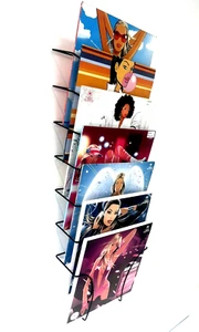 12" Vinyl Wall Display Record Rack - Holds 50+ Records, Retro Vinyl Collector Dj - Imagen 1 de 15