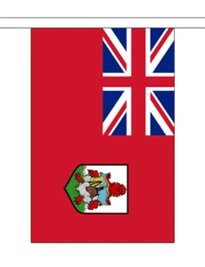 Bermuda Wimpelkette 3m 10 Fahnen *SALE PRICE* - Bild 1 von 3