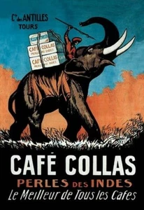 Cafe Collas Anonymous Poster Print - Picture 1 of 1