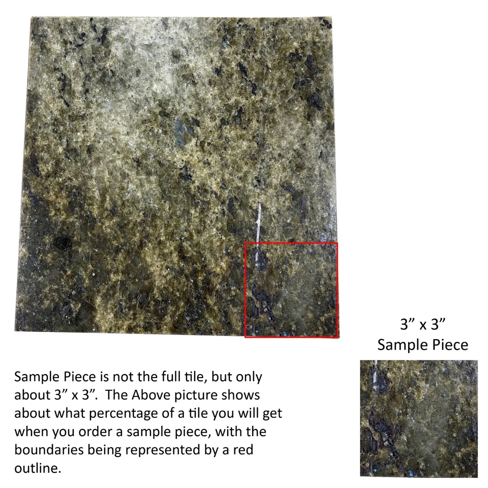 3x3 Sample Piece Green Sea Coral Granite Remodel Stone 12x12 Tile TS-99 - Image 1 of 1