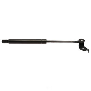 Hood Lift Support Strong Arm 4217L