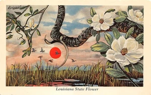 #K1620 LOUISIANA STATE FLOWER POSTKARTE, MAGNOL;IA - Bild 1 von 2
