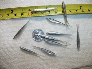 100-1 1/2"CRAPPIE-PANFISH-BASS-SHAD MINNOW-GRUB-JIG-FORK-SPLIT TAILS-fluke-scent - Picture 1 of 7