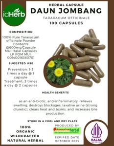 [idHerb] Herbal CAPSULES Taraxacum Officinale Daun Jombang Natural Organic Herbs - Picture 1 of 5