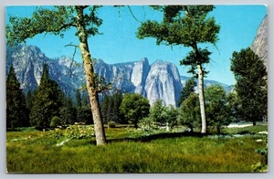 Vintage 1954 Yosemite Meadows & Cathedral Rocks Postcard California - Picture 1 of 2