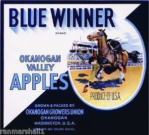 Okanogan Valley Washington Blue Winner Cowboy Apfel Obstkiste Etikett Kunstdruck - Bild 1 von 1