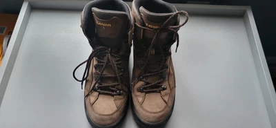 Lowa Renegade GTX Mid Impermeable Hombre Botas de Senderismo Foto 1 de 4