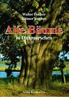 Alte Bäume in Dithmarschen von Denker, Walter, Stecher, ... | Buch | Zustand gut