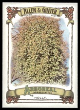 2021 Topps Allen & Ginter AA-13 Holly     Baseball Card