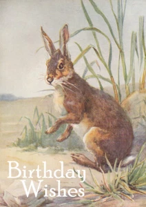 HAPPY BIRTHDAY GRUSSKARTE SCHÖNER HASE - Bild 1 von 1