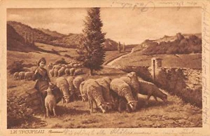 B107900 Francia Le Troupeau ovejas pastor foto real Reino Unido - Imagen 1 de 2