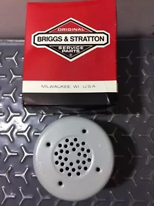 Silenziatore Briggs & Stratton OEM nuovo 394569 NUOVO VECCHIO MAGAZZINO IN SCATOLA - Foto 1 di 5