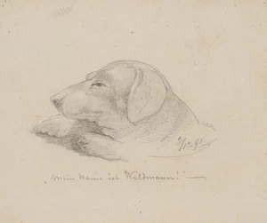 Dackel "Waldmann",  1861, Bleistift Romantik Tiere 1850-1899 Unbekannt (19.Jhd) - Picture 1 of 5