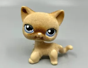 Littlest Pet Shop LPS Flocked Fuzzy Shorthair Cat Blue Eyes #318 AUTHENTIC - Picture 1 of 3