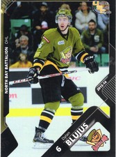 2013/14 North Bay Battalion - DYLAN BLUJUS