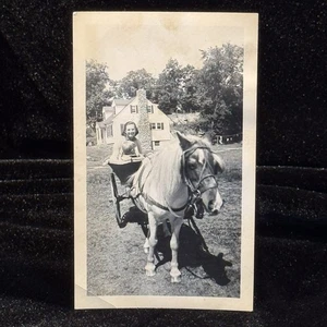Carrozzina cavallo donna snapshot vintage anni 40 New England casa rurale americana - Foto 1 di 5