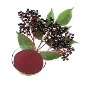 1.1LB Elderberry Extract Powder 10:1 - Picture 1 of 4