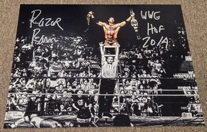 Razor Ramon signiert HOF 2014 WWE WWF Wrestling 16x20 Foto Beckett Scott Hall - Bild 1 von 4