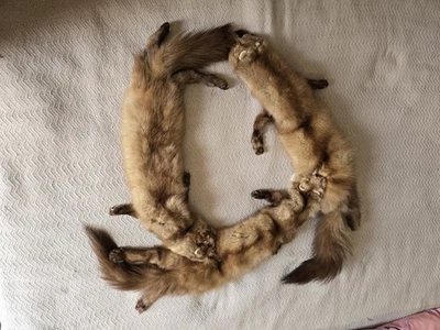 Ladies 1940s Era Vintage 3-Pelt Genuine Mink Stole Neck Wrap - Image 1 of 4