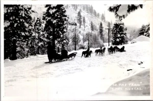Dog Sled Team ON THE TRAIL in the SIERRAS RPPC Postcard - Imagen 1 de 2